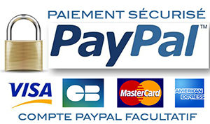 Logo Paypal small