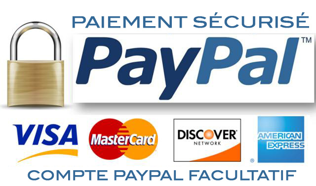 Logo Paypal